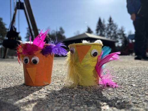 Vi har sittet ute i vårsola og sådd karse